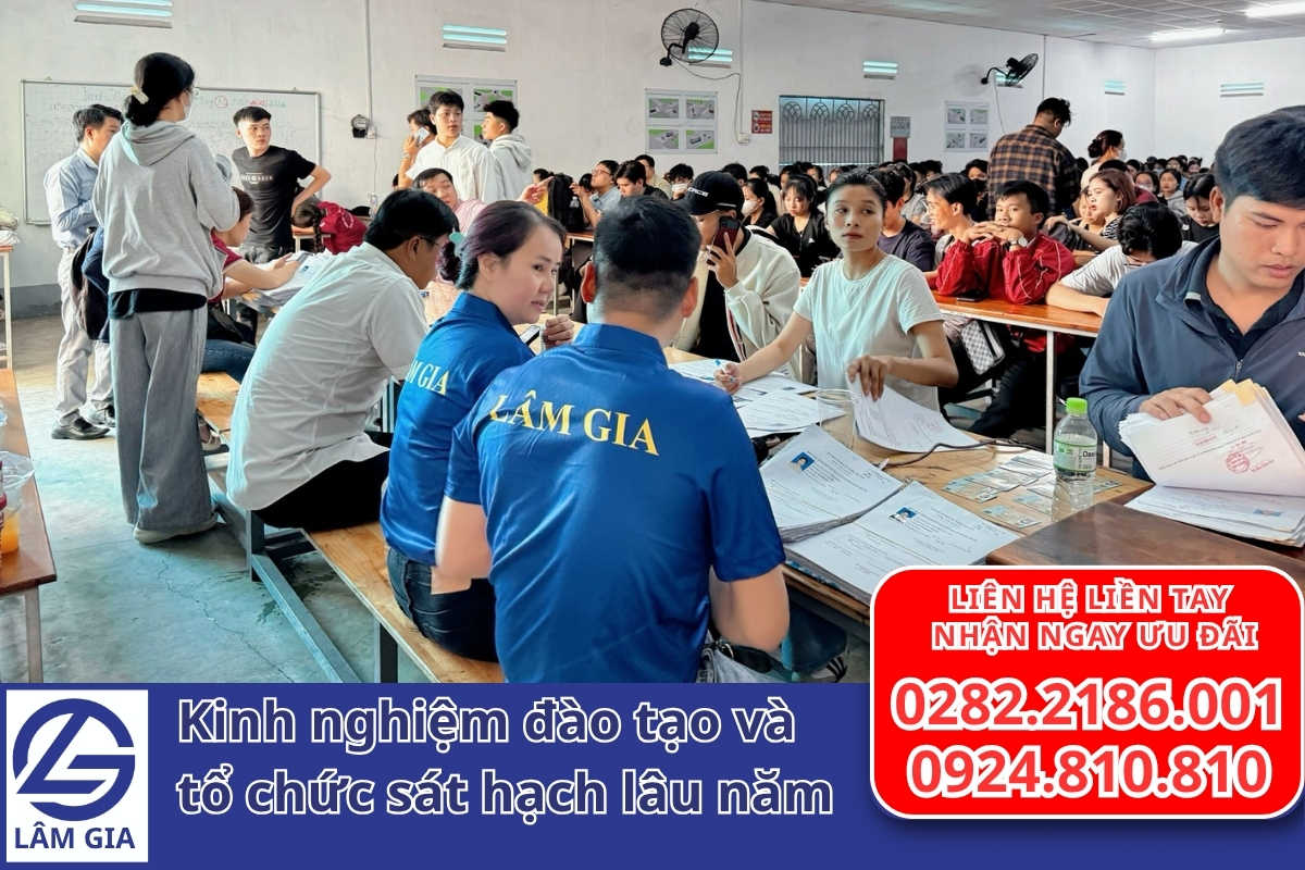 Dịch vụ hỗ trợ đổi bằng lái xe quốc tế tại Trung Tâm Lâm Gia