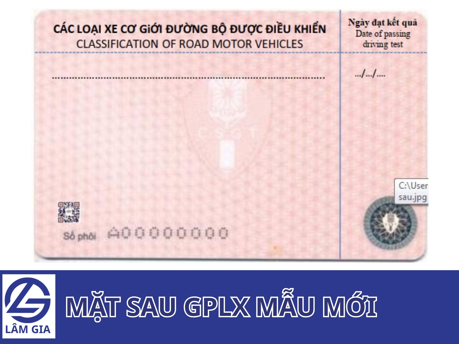 giấy phép lái xe mới 2025 - 2026 có phải đổi ngay không? Hãy cùng Trung tâm Lâm Gia tìm hiểu nhé