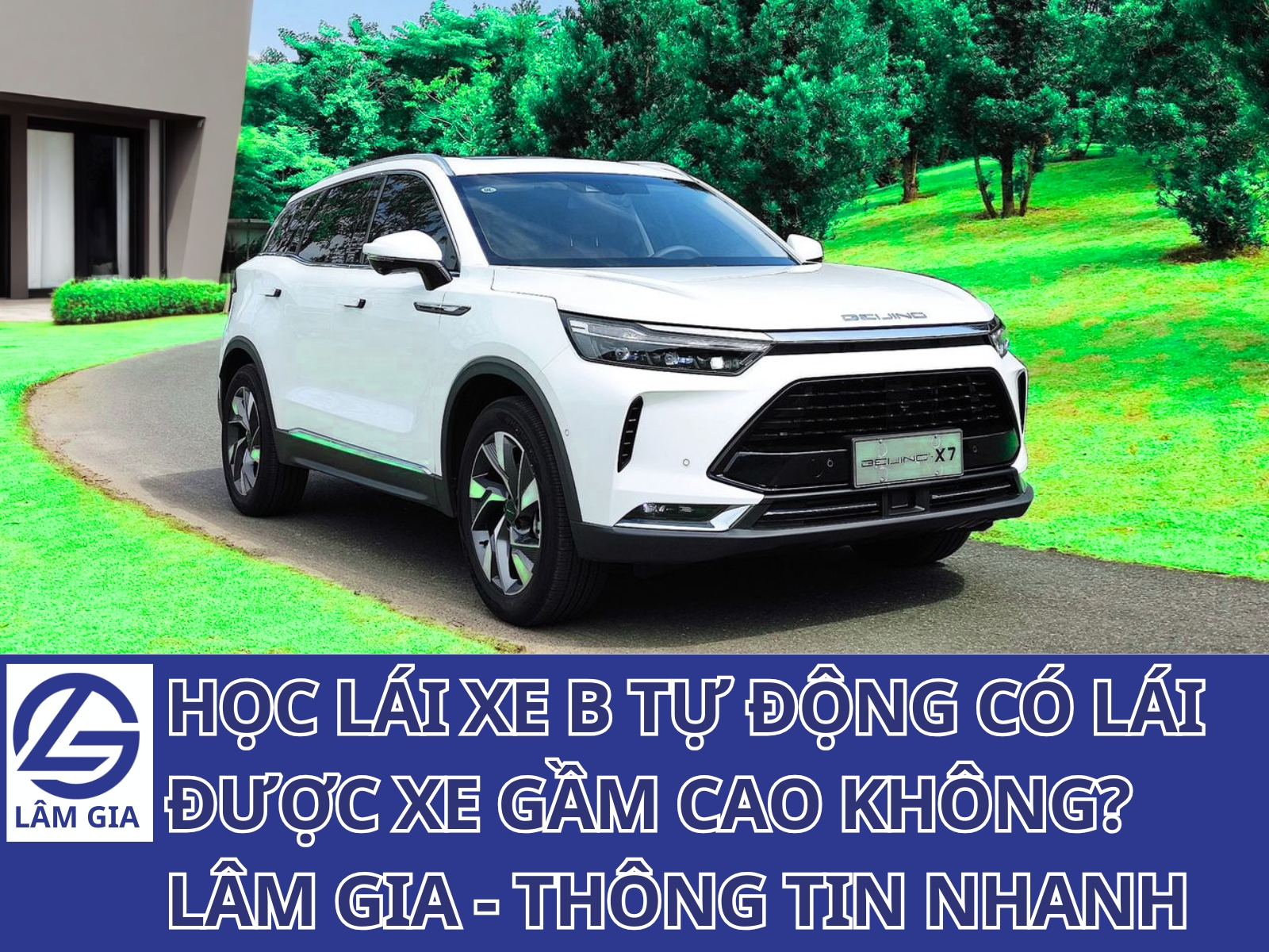 học lái xe B tự động xe gầm cao quận 10