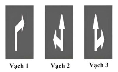 Vạch mũi tên chỉ hướng trên mặt đường nào dưới đây cho phép xe chỉ được đi thẳng và rẽ phải?